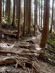 20061018-19 kumano (18).jpg